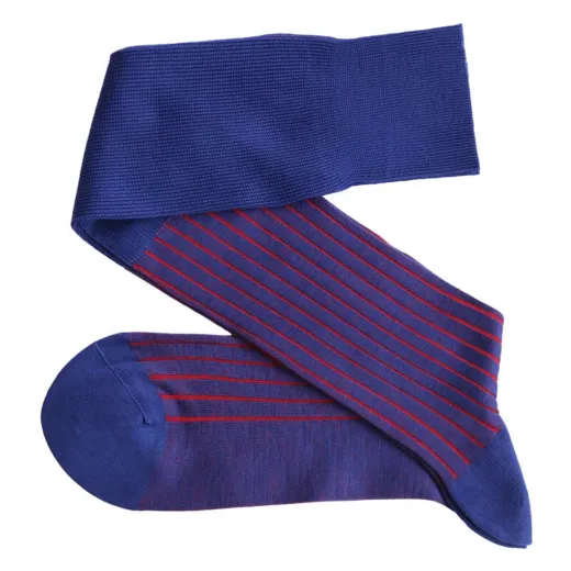 VICCEL / CELCHUK Knee Socks Shadow Royal Blue / Red - Luksusowe podkolanówki